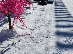 -翠云山银河滑雪场