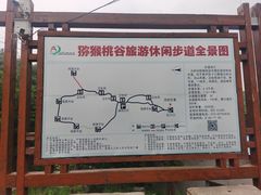 -大岭沟猕猴桃谷风景区