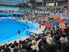 -海合安成都极地海洋公园