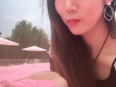 -大塘金香草谷