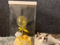 -零纪元VR体验馆·桌游(黄浦店)