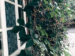 -长颈鹿咖啡(大学路店)