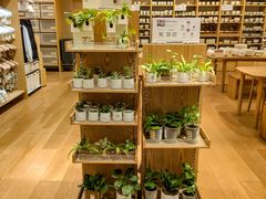 -MUJI无印良品(环球港店)