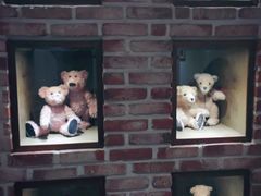 -济州岛泰迪熊博物馆