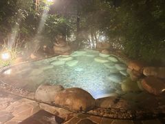 -天目湖涵田半山温泉