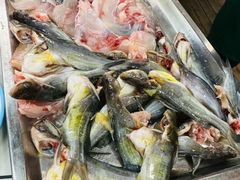 -渔小贰 稻田蛙·鱼火锅