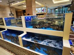 水产区-双井轩(双井店)