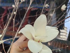 -湛山寺