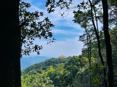 -广州市帽峰山景区