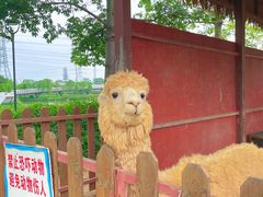 -王借岗森林公园