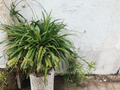 -奉化点心(呼童街店)