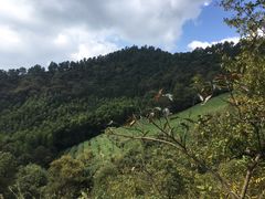 -敬亭山风景名胜区