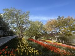 -裕华世纪公园
