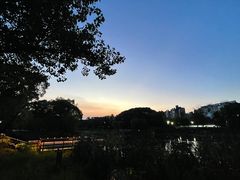 -新江湾城公园