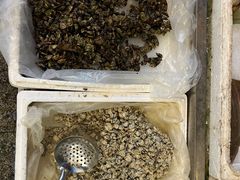 -新享乐海鲜(翠华路店)