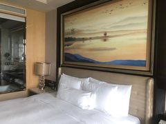 -长沙富力万达文华酒店