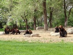 -北京野生动物园