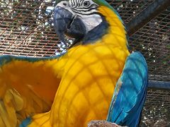 -费瑟代尔野生动物园