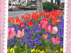 -杭州湖滨银泰in77