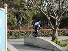 -新江湾城公园