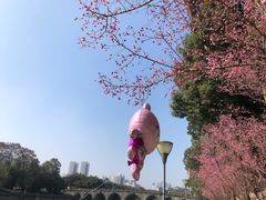 -望江楼公园