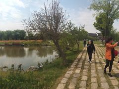 -鹅湖玫瑰文化园