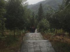 -凤栖山