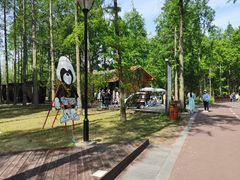 -黄海国家森林公园