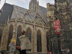 -斯蒂芬主教座堂(Stephansdom)
