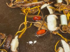 -蜀留香火锅(社会山店)