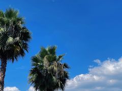 -云里小坐·海泉湾·团建·宴席·下午茶(金堂海泉湾店)