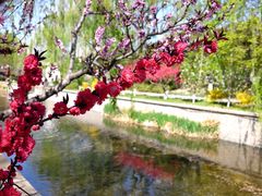 -元大都城垣遗址公园