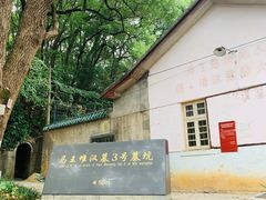 -马王堆汉墓遗址