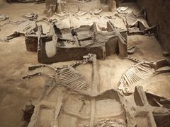 -洛阳周王城天子驾六博物馆