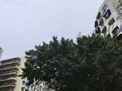 -黄桷坪涂鸦艺术街