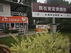 -御林古桑园