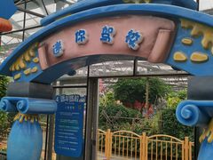 -南宫五洲植物乐园