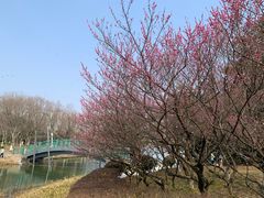 -白塘生态植物园