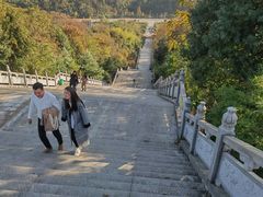 -潜山国家森林公园