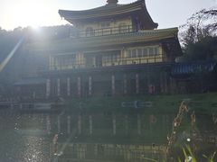 -千年银杏谷文化旅游区