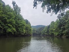 -青龙山国家森林公园