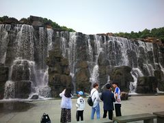 -东方绿舟景区