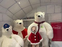 -济州岛泰迪熊博物馆