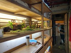 -老味道(田子坊店)