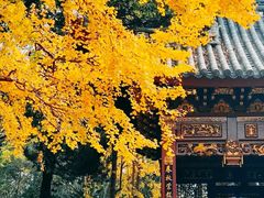 -汇龙潭