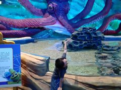 -青岛嘉年华主题乐园