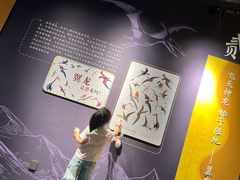 -辽宁古生物博物馆