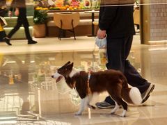 -CityOn熙地港西安购物中心