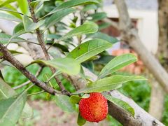 -驿舍·民國老营房院子私房菜(科学会堂店)
