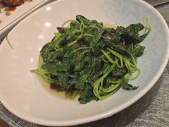 -南堂馆·新川菜(天府三街店)